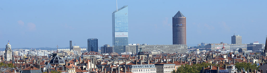 Vue de Lyon