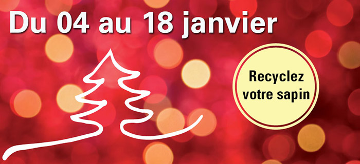 Collecte des sapins 2020 - l Vignette