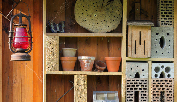Potager