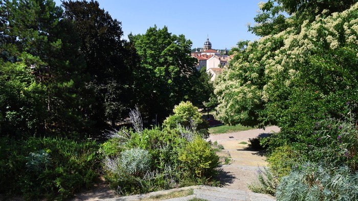 Parc Sutter Vignette