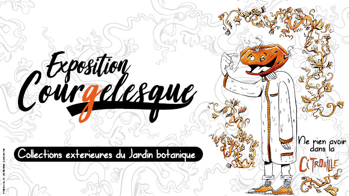 Exposition Courgelesque