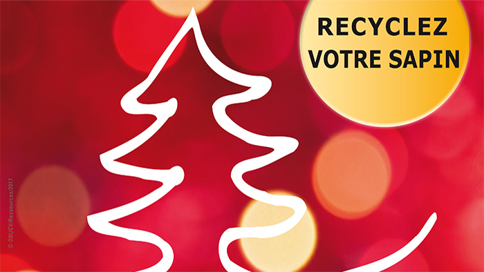 Collecte sapin 2021 Vignette