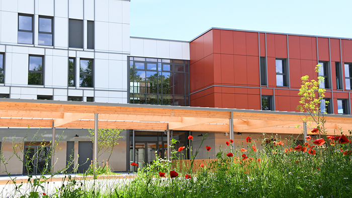 Ecole Anne Sylvestre Vignette