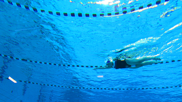 Piscine Vignette