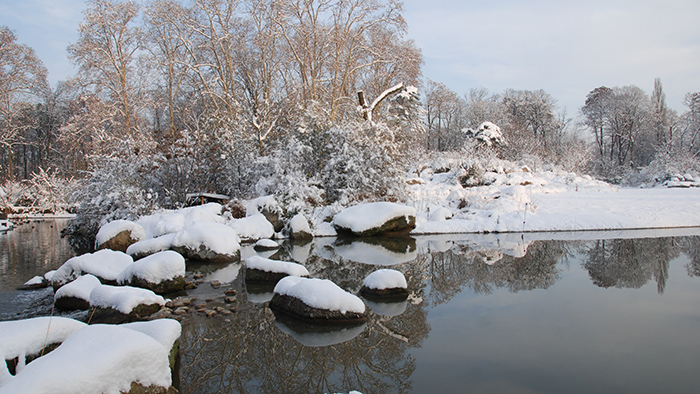 Zoo neige Vignette