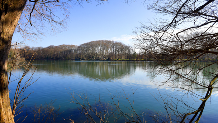 Parc de la Tête d'Or en hiver Vignette