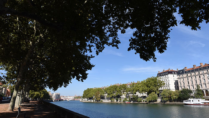 Rives de Saône Vignette