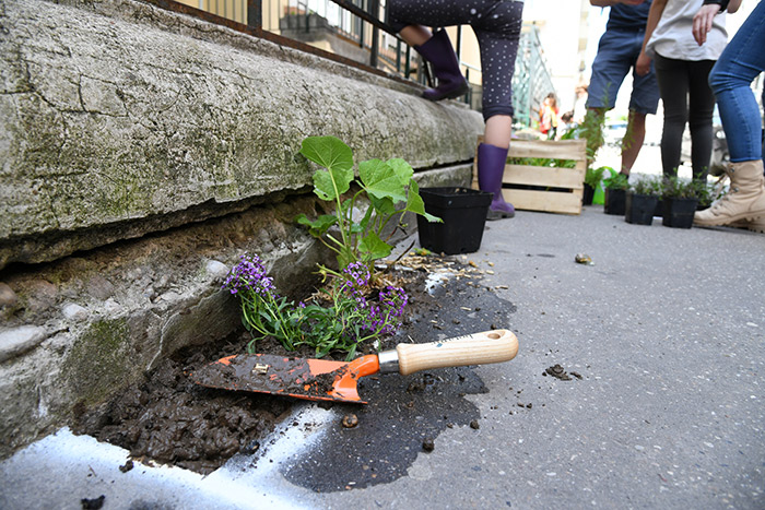 Jardin de rue - rue Waldeck 6e