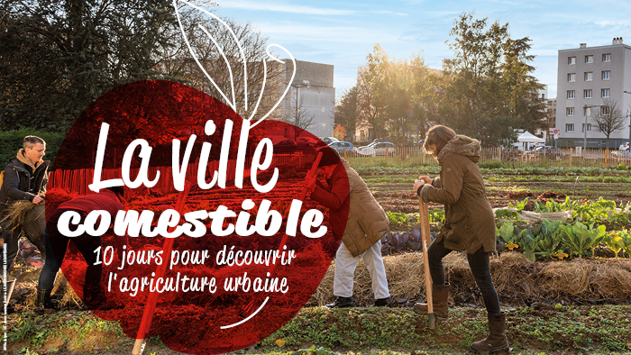 Lyon ville comestible Vignette