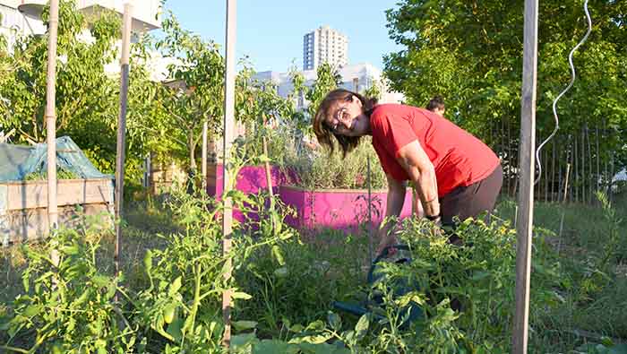 Sauvegarde quartier fertile