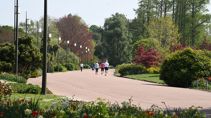 Allée du Parc de la Tête d'Or