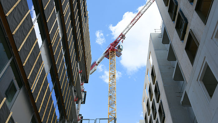 Chantier albizzia