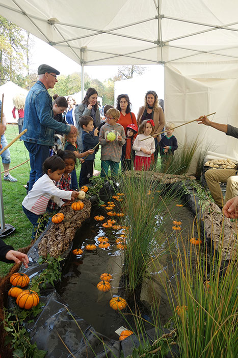 Atelier courges flottantes