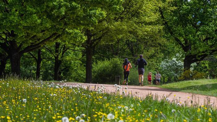 Parc de Parilly