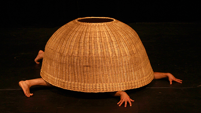 Bestiaire végétal, Colectivo Terrón - TNG