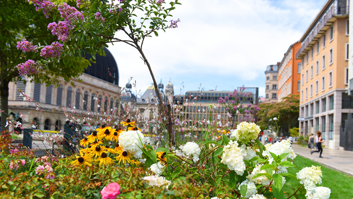 Profusion de fleurs, place Pradel, Hôtel de Ville et Opéra en arrière plan