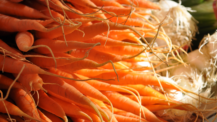 Bottes de carottes