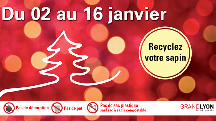 Collecte de sapins 2019 - p bis Vignette