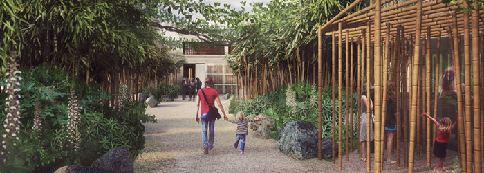 Allée forêt d'Asie 250