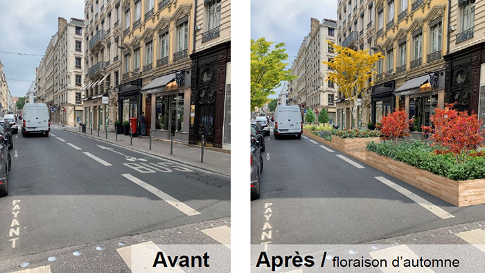 Rue avant et après fleurissement floraison d'automne