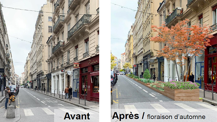 Rue avant et après fleurissement d'automne 2