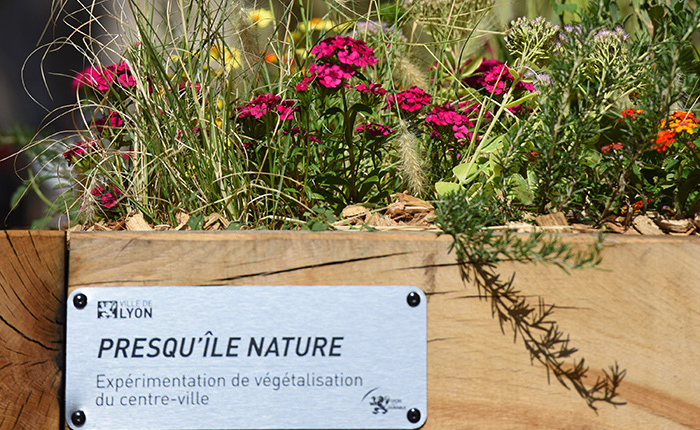 Presqu ile nature Vignette