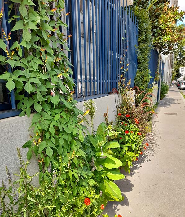 Jardin de rue sur le trottoir