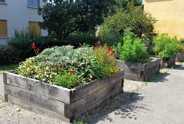 Jardin de rue dans des bacs