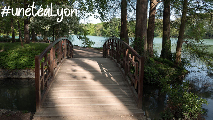 Un été à Lyon - parcours ombragé au parc de la Tête d'Or Vignette