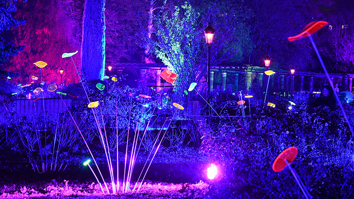 Lumignons du Coeur - Fête des Lumières 2022
