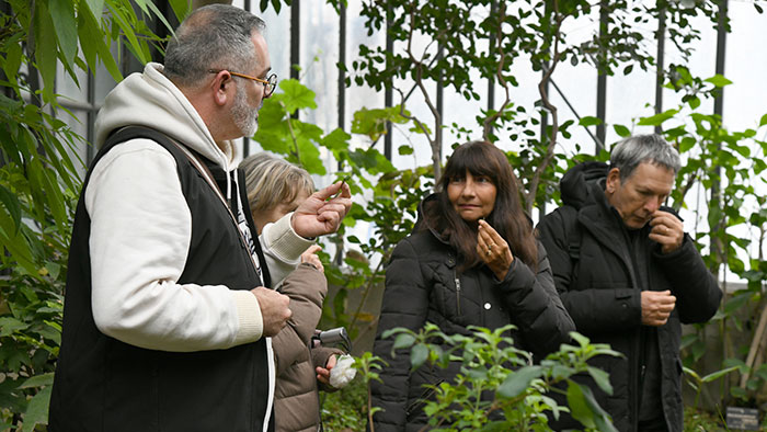 La visite Plantes à parfums dans les grandes serres du parc de la Tête d'Or