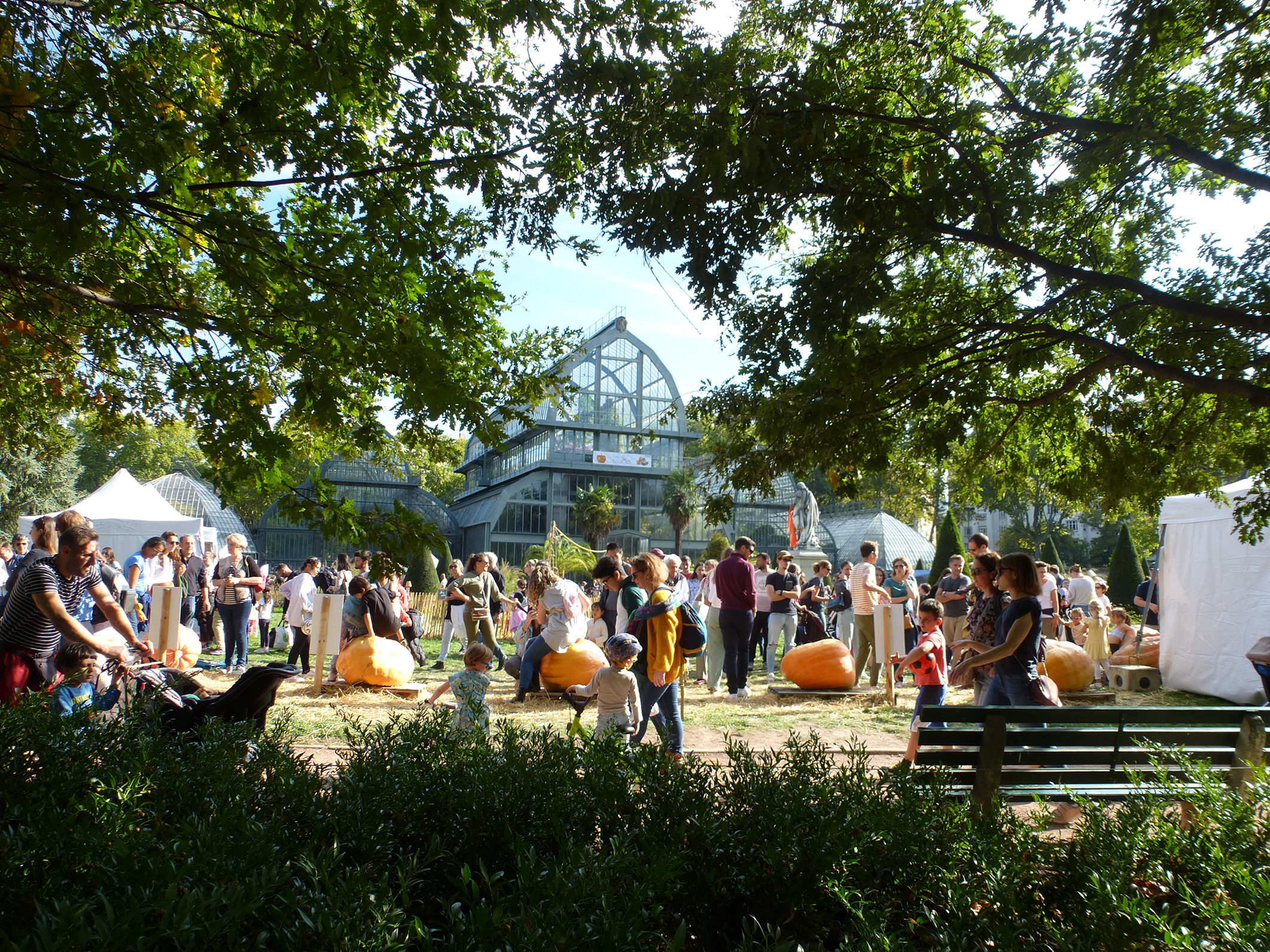Le Festival des courges devant les grandes serres du parc de la Tête d'Or - 3 