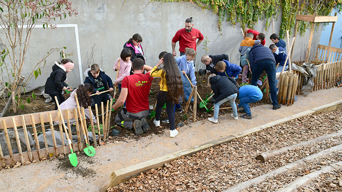 La période de plantation s'étend d'octobre à mars.