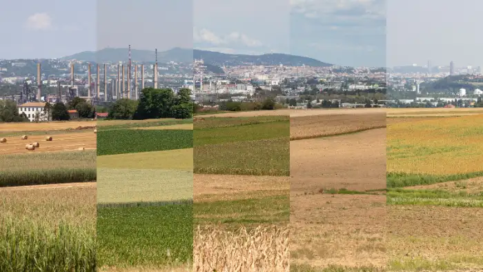 Paysages immuables ?