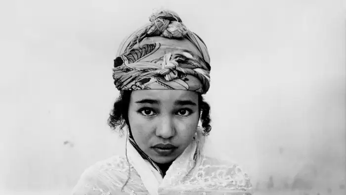 L'Algérie, à l'encre des mémoires