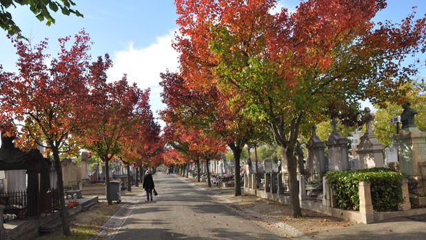Cimetière - p Vignette