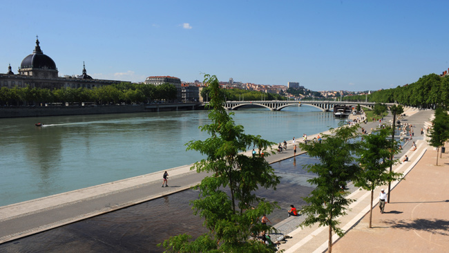 Berges du Rhône p Vignette