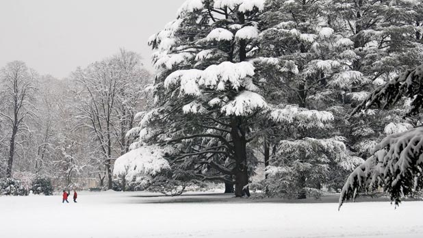Parc de la Tête dOr sous la neige - p Vignette