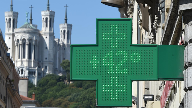 Canicule Vignette