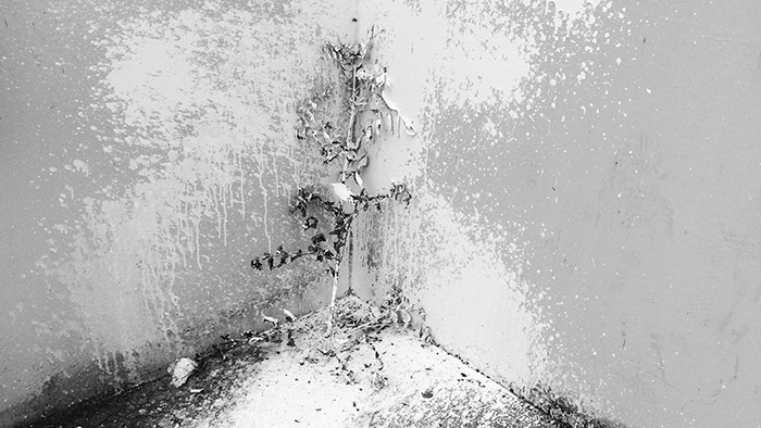 Dessination - Claude Horstmann