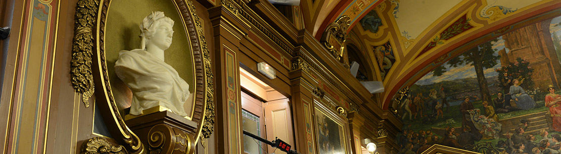Vue Marianne dans la salle du Conseil municipal de la Ville de Lyon