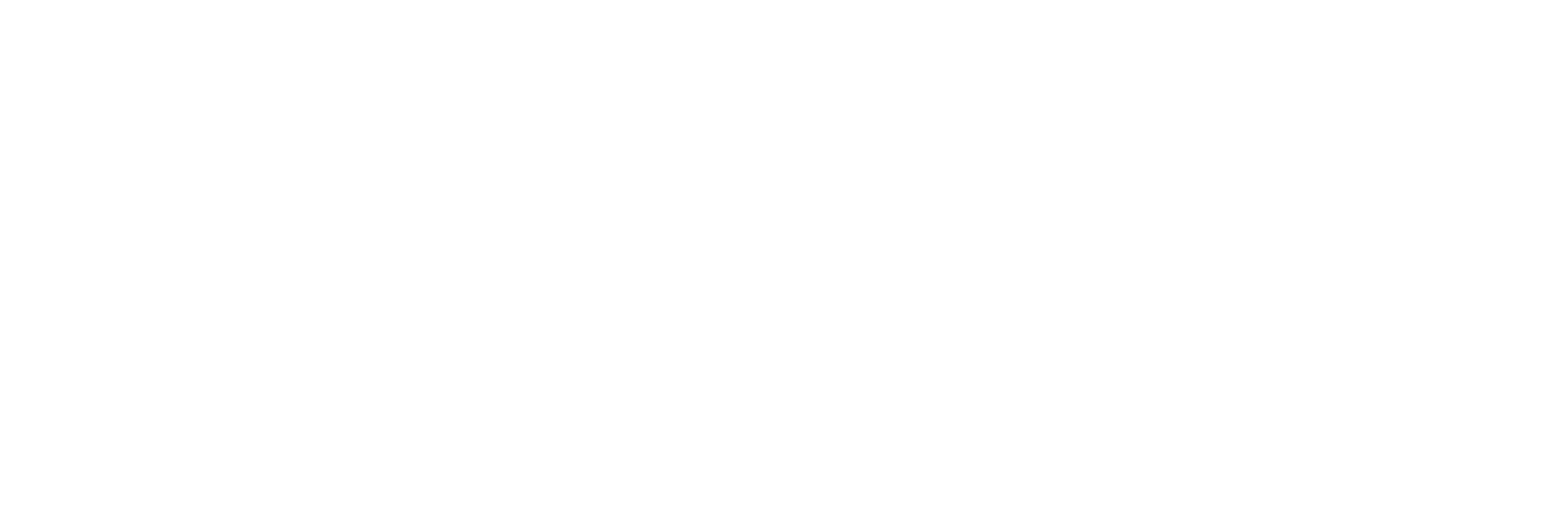 Logo Blanc Ville de Lyon