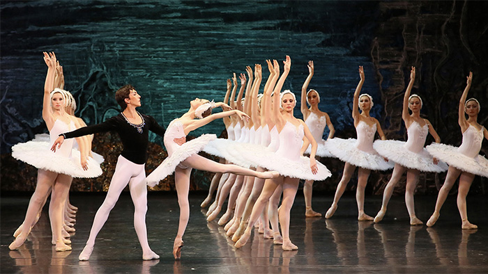 Le Lac des Cygnes
