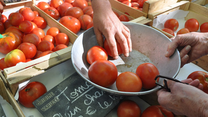 vente de tomates en circuit court