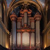 Grand Orgue Cavaillé-Coll de l'église de Saint-François-de-Sales / Dominique Robert