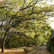 Le parc des Hauteurs fait partie intégrante du futur parc des Balmes