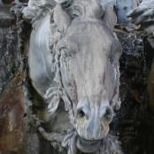 Détail de la fontaine - Tête de cheval ©Reppellin