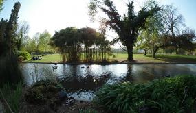 Parc de la Tête d'or au bord de l'eau