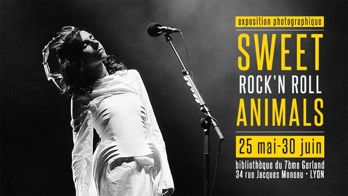 Sweet Rock'n'Roll Animals - Exposition photos de concerts de Kevin Pailler